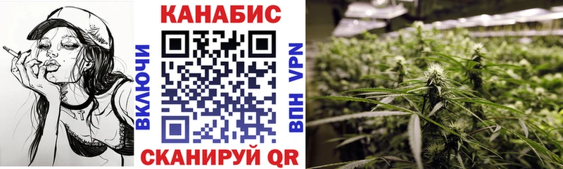 Каннабис план Теберда